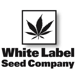 White Label Hemp Seeds Logo
